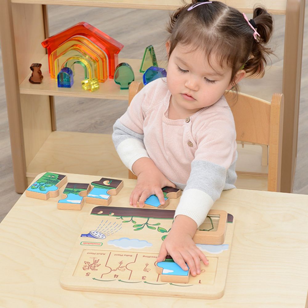 Medinė MASTERKIDZ „Pupelių gyvenimo ciklo“ lenta