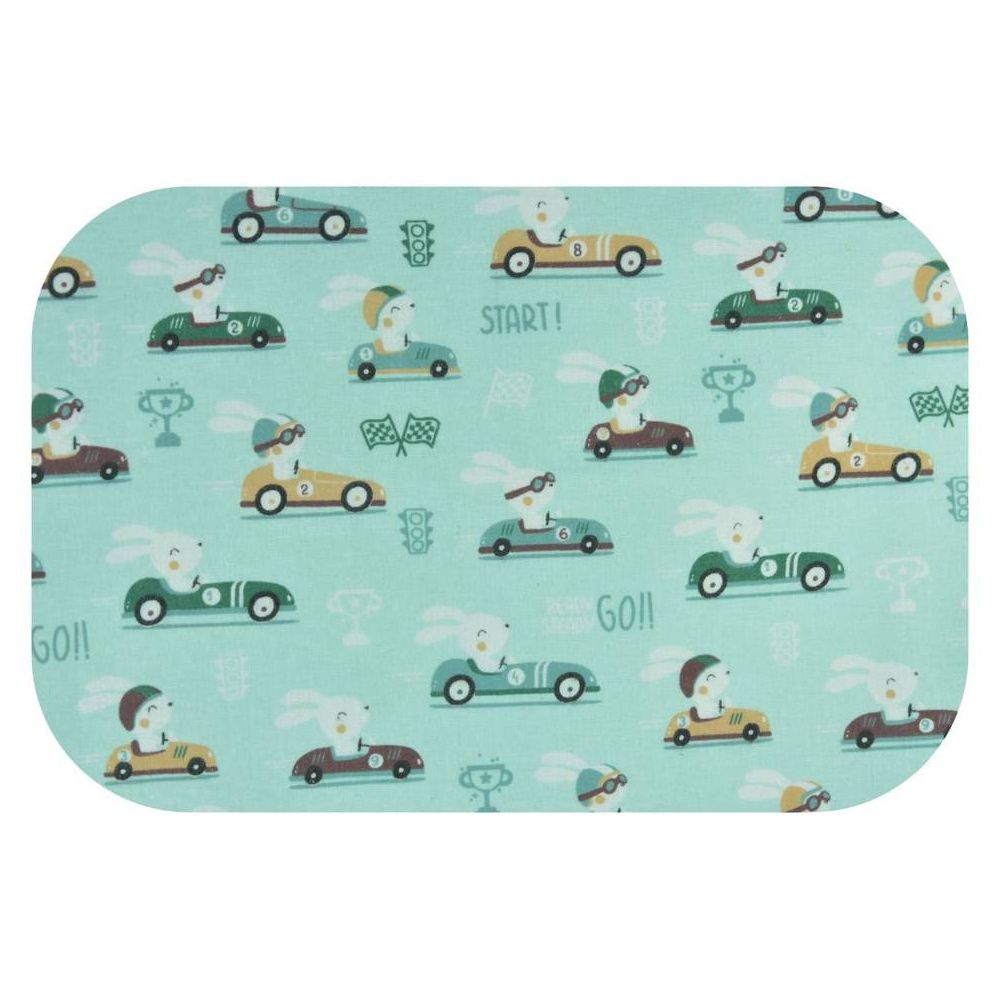 Sauskelnės - 19089 - FLANEL PRINT - EGA - KING IN AUCIE - MINT - dydis 70x80 cm