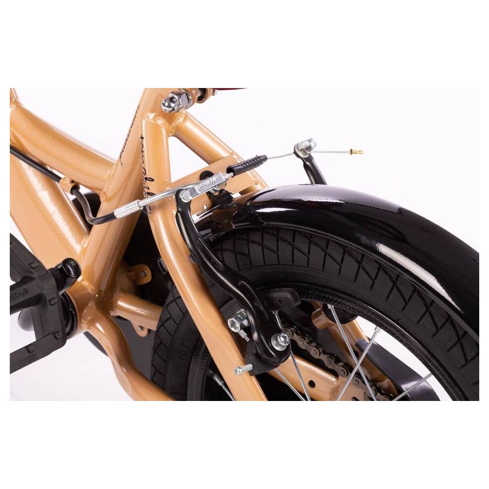 Bicycle - XXIV - TOMABIKE 14" PLUS - PLATINUM - GOLD
