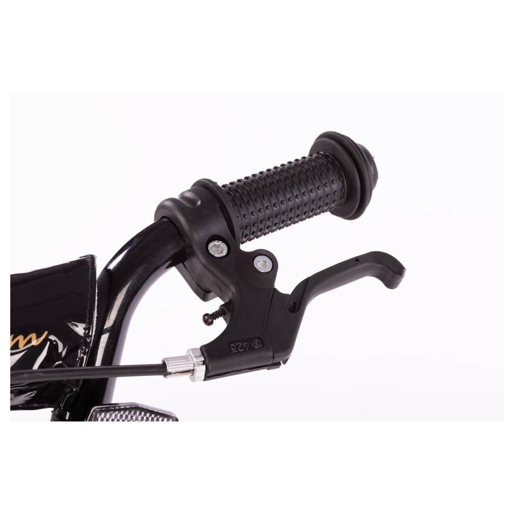 Dviratis - XXIV - TOMABIKE 14" PLUS - PLATINUM - GOLD