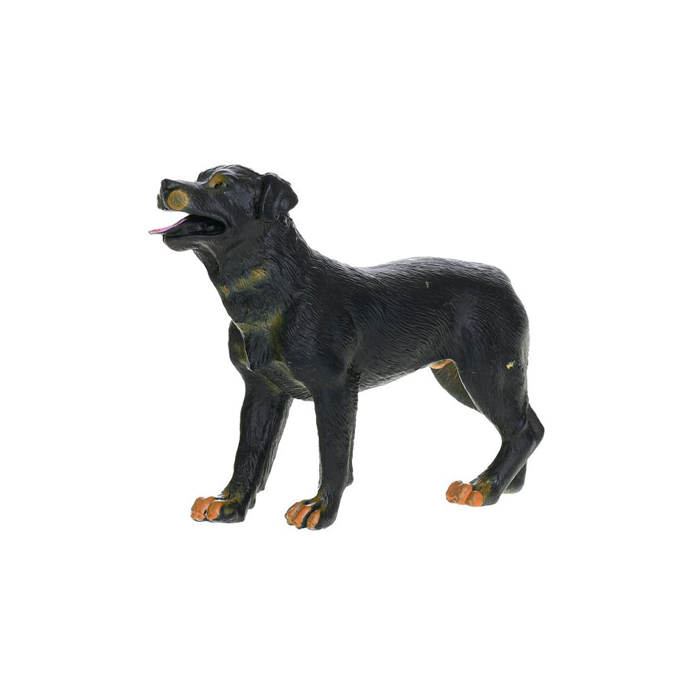 ZOOLAND - 11453 - Šuo - 1 figūrėlė - MIX - dydis 7-10 cm