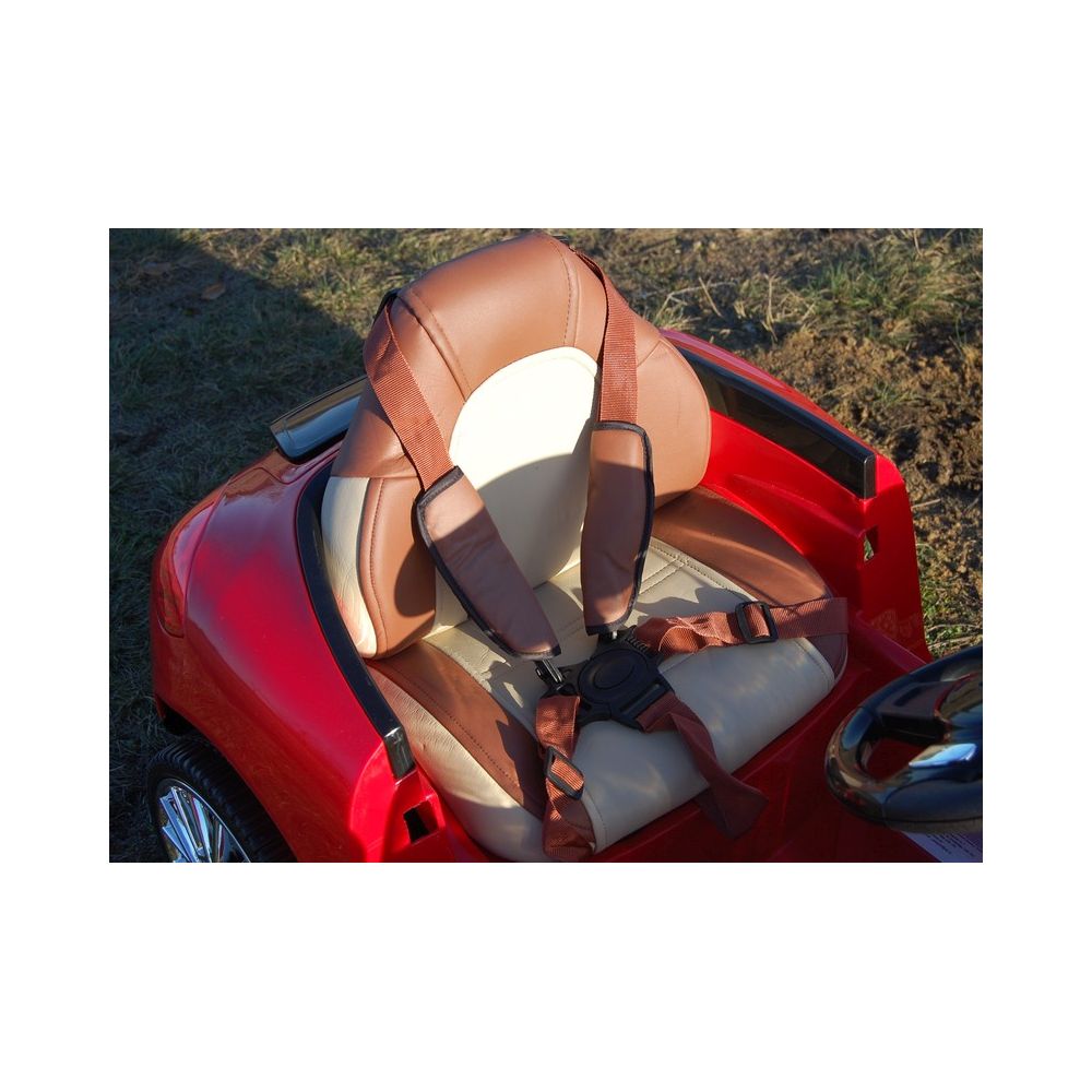 AUTO ROADSTER EXCLUSIVE SU ŠVIESANČIAIS RATAI/SX158
