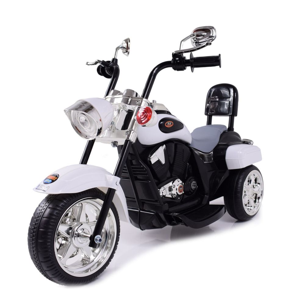 MOTOR CHOPPER SU ATKLAUDA, VARIKLIO KORPUSU / TR1501