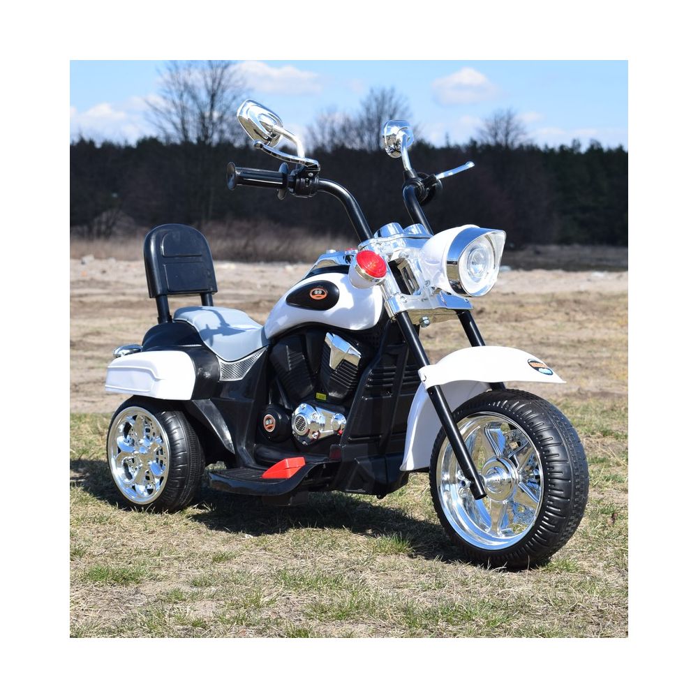 MOTOR CHOPPER SU ATKLAUDA, VARIKLIO KORPUSU / TR1501