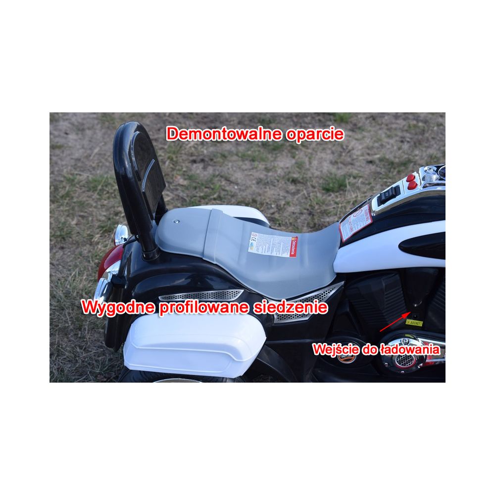 MOTOR CHOPPER SU ATKLAUDA, VARIKLIO KORPUSU / TR1501