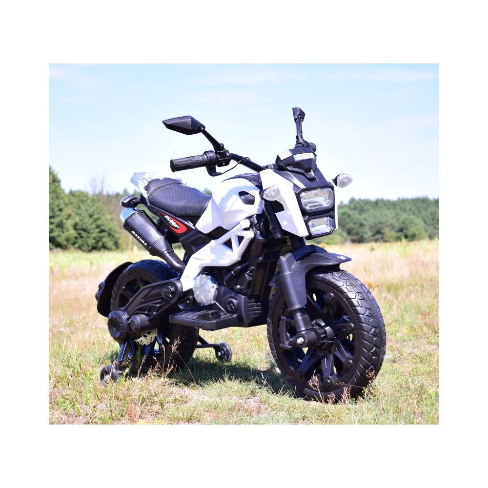 MEGA MOTOR CROSS STRONG 2 EXCLUSIVE, AMORTIZATORIUS, AKCELERATORIUS RANKENĖJE, STABDYS/DLS01