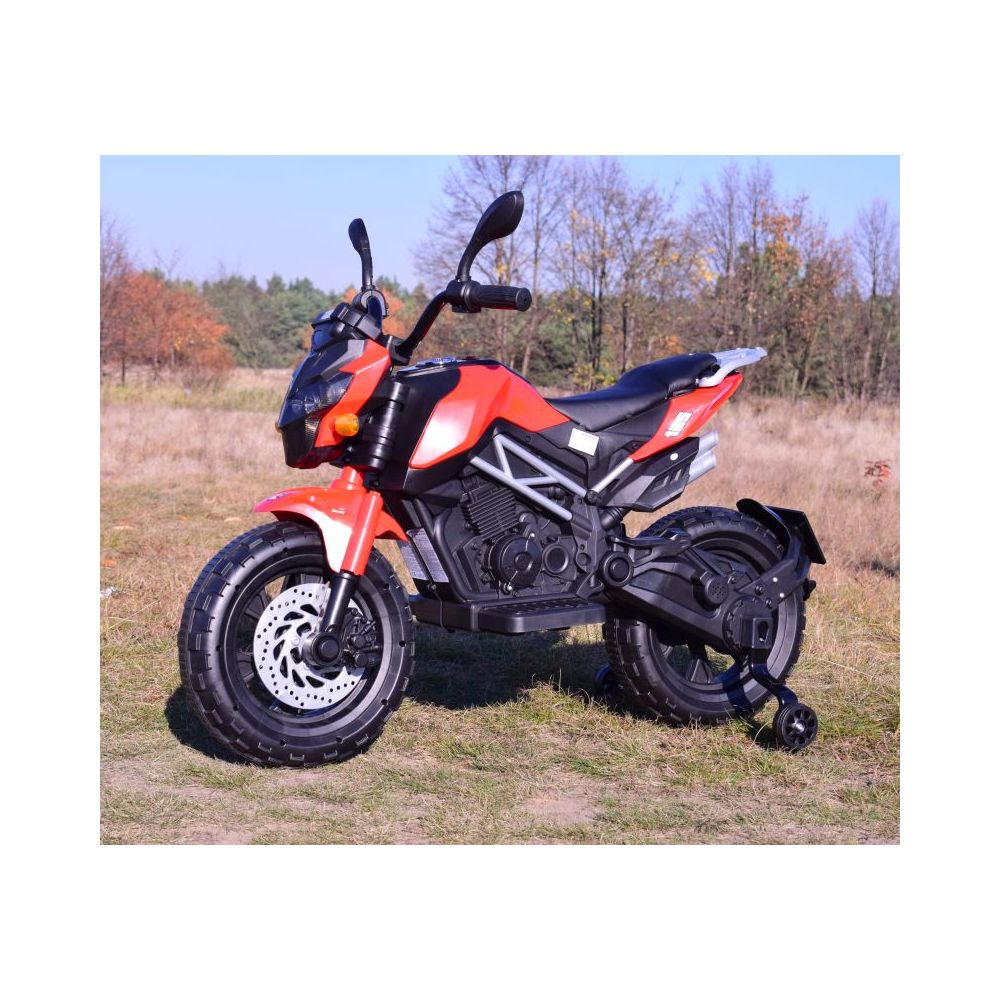 OLBRZMI MOTOR CROSS STRONG 2 EXCLUSIVE, AMORTIZATORIUS, AKCELERATORIUS RANKENĖJE /BLF918
