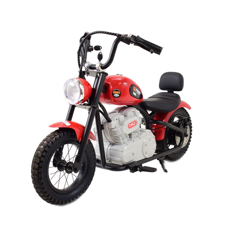 NUOSTABUS MOTOR SPEED 12 PLUS PRIPUČIAMI RATAI, PLIENINIS RĖMAS/A9902