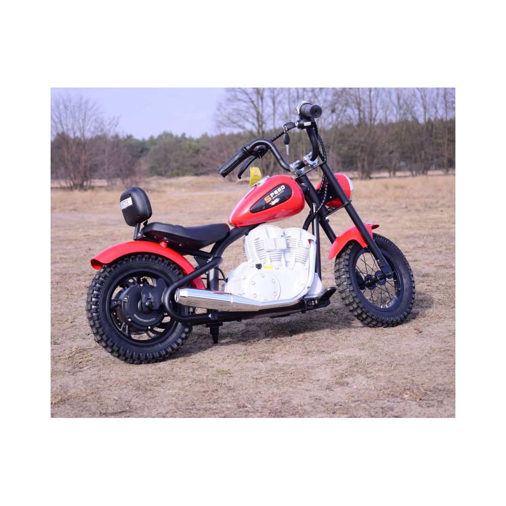 NUOSTABUS MOTOR SPEED 12 PLUS PRIPUČIAMI RATAI, PLIENINIS RĖMAS/A9902