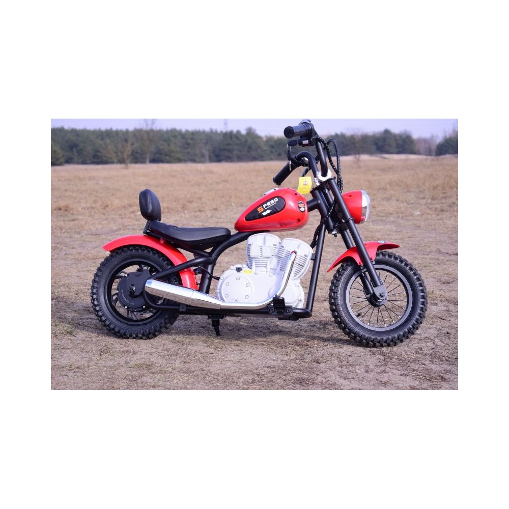 NUOSTABUS MOTOR SPEED 12 PLUS PRIPUČIAMI RATAI, PLIENINIS RĖMAS/A9902