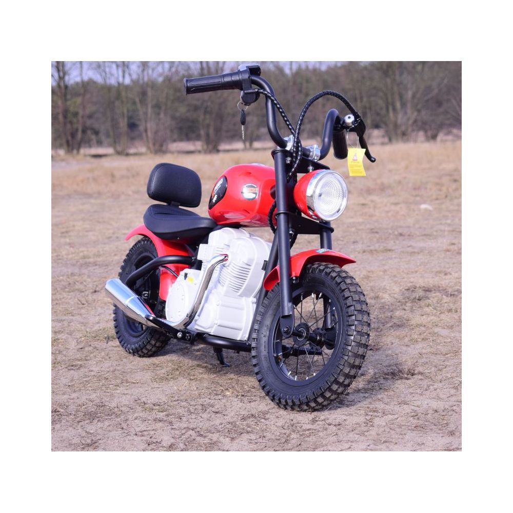 REWELACYJNY MOTOR SPEED 12 PLUS POMPOWANE KOŁA, STALOWA RAMA/A9902