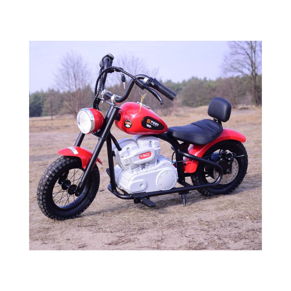 NUOSTABUS MOTOR SPEED 12 PLUS PRIPUČIAMI RATAI, PLIENINIS RĖMAS/A9902