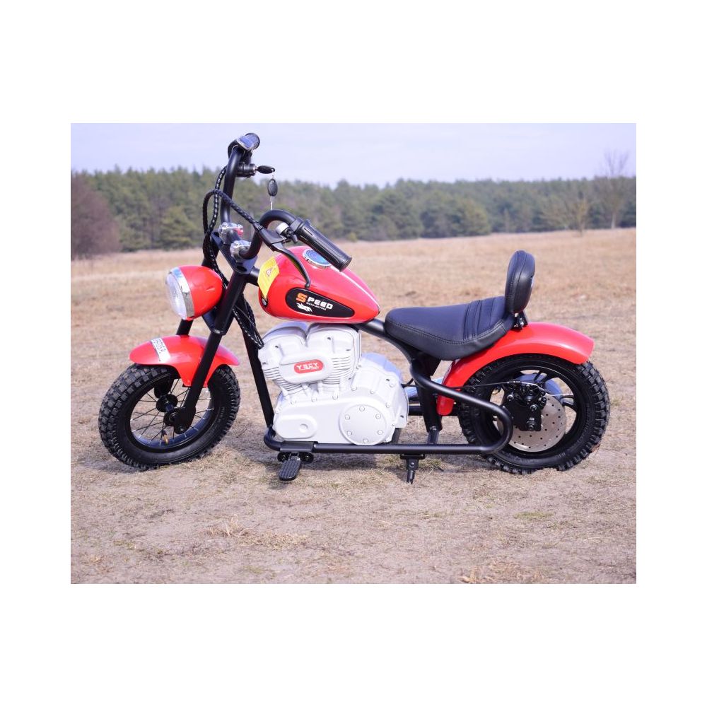 NUOSTABUS MOTOR SPEED 12 PLUS PRIPUČIAMI RATAI, PLIENINIS RĖMAS/A9902