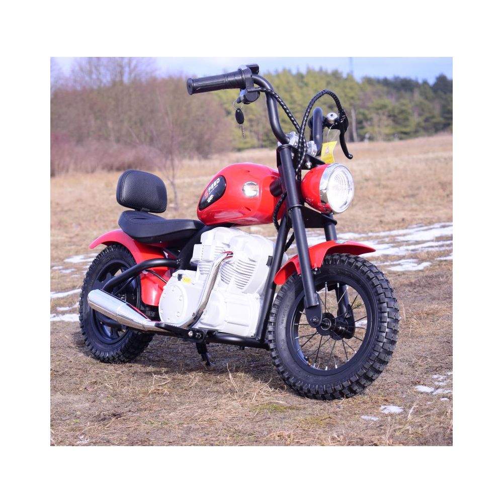 NUOSTABUS MOTOR SPEED 12 PLUS PRIPUČIAMI RATAI, PLIENINIS RĖMAS/A9902
