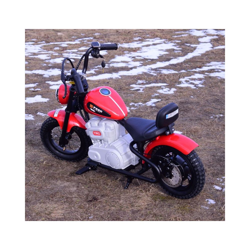 NUOSTABUS MOTOR SPEED 12 PLUS PRIPUČIAMI RATAI, PLIENINIS RĖMAS/A9902