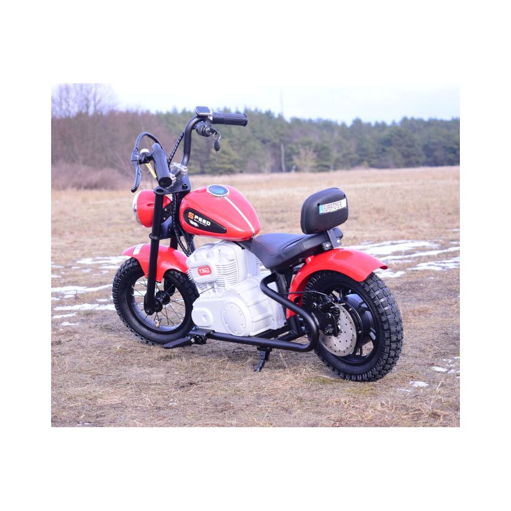NUOSTABUS MOTOR SPEED 12 PLUS PRIPUČIAMI RATAI, PLIENINIS RĖMAS/A9902