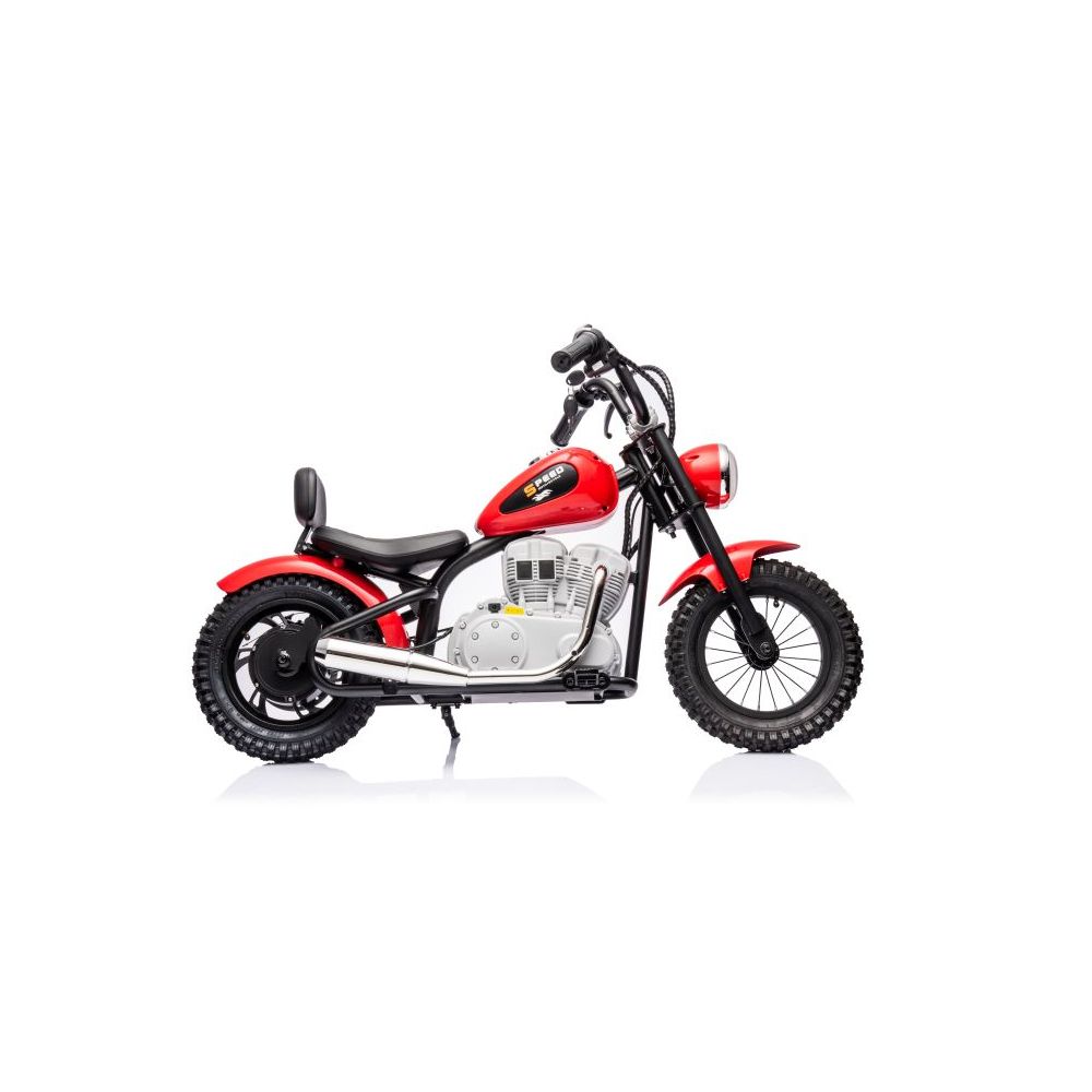 NUOSTABUS MOTOR SPEED 12 PLUS PRIPUČIAMI RATAI, PLIENINIS RĖMAS/A9902
