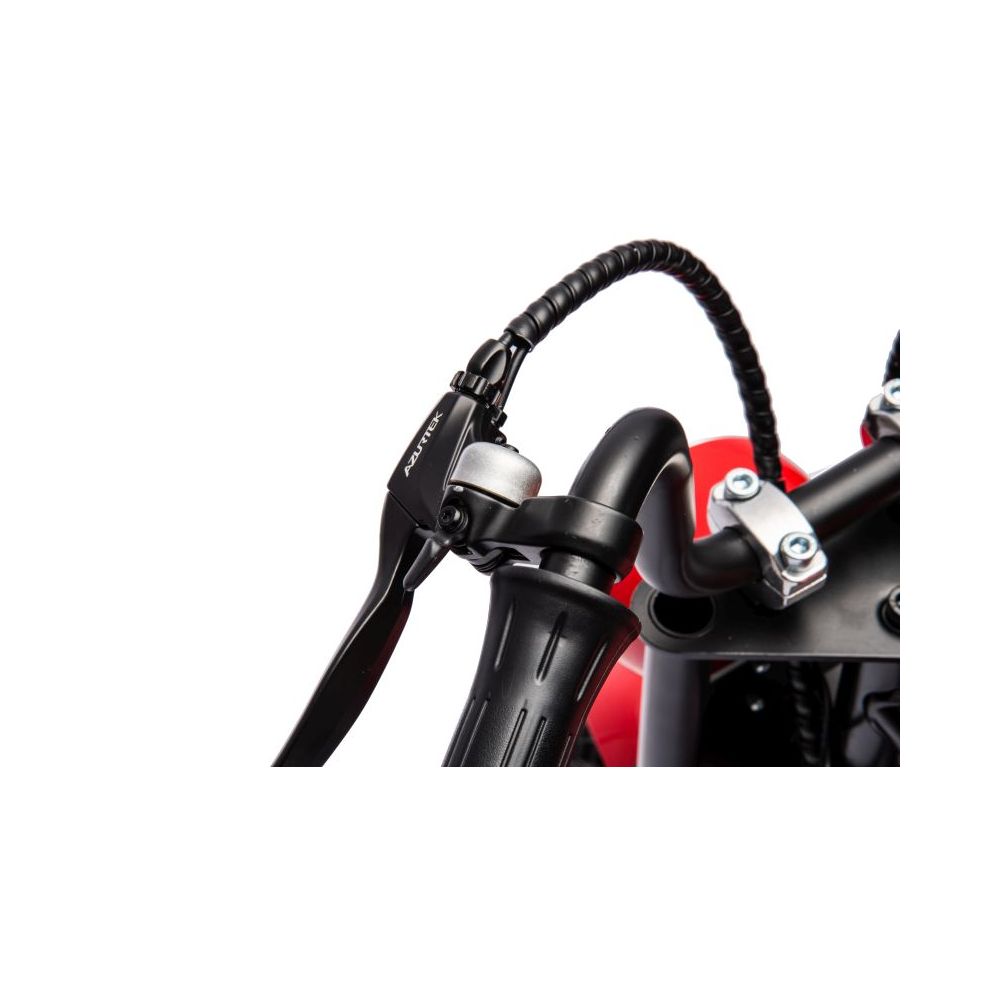 NUOSTABUS MOTOR SPEED 12 PLUS PRIPUČIAMI RATAI, PLIENINIS RĖMAS/A9902
