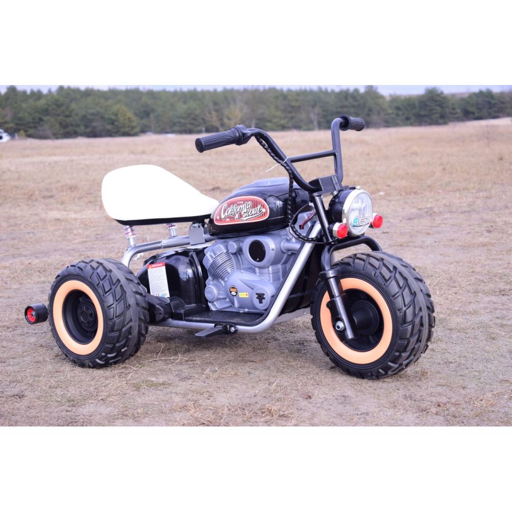 MOTOR CALIFORNIA SCOUT VAŽIAVIMAS ANT GALINIŲ RATŲ – 1600 VATŲ/LL6688