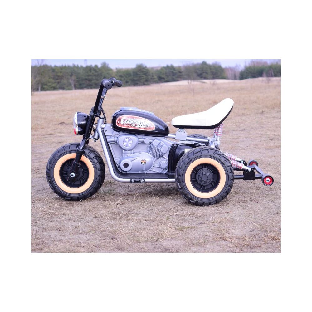 MOTOR CALIFORNIA SCOUT VAŽIAVIMAS ANT GALINIŲ RATŲ – 1600 VATŲ/LL6688