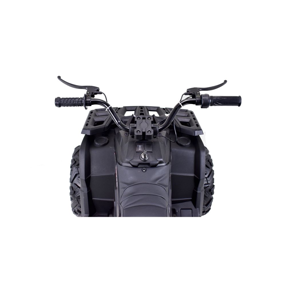 MEGA QUAD TOP SPEED 2X200W, 24 V, SUPER MOC, GAZ W MANETCE, HAMULCE/JC-333