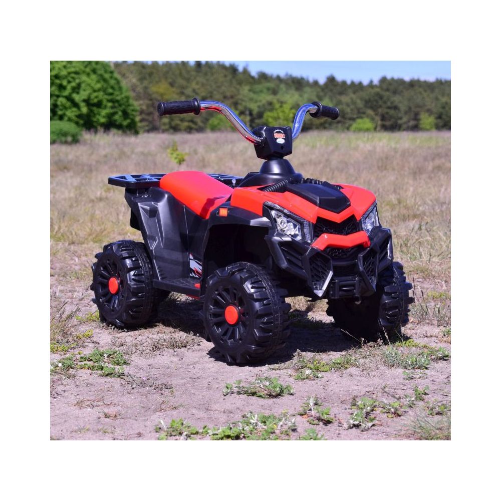 „QUAD SPORT 1000“ SU AKUMULIATORIUMI, DU VARIKLIAI, NUOTOLINIO VALDYMO PULTAS/MDX608