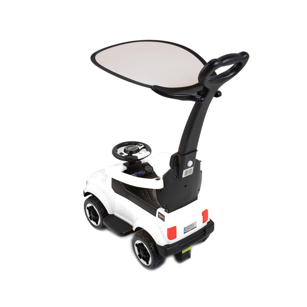 JEŹDZIK, ODPYCHACZ COLL BABY Z DŹWIĘKAMI I DASZKIEM/TC-902