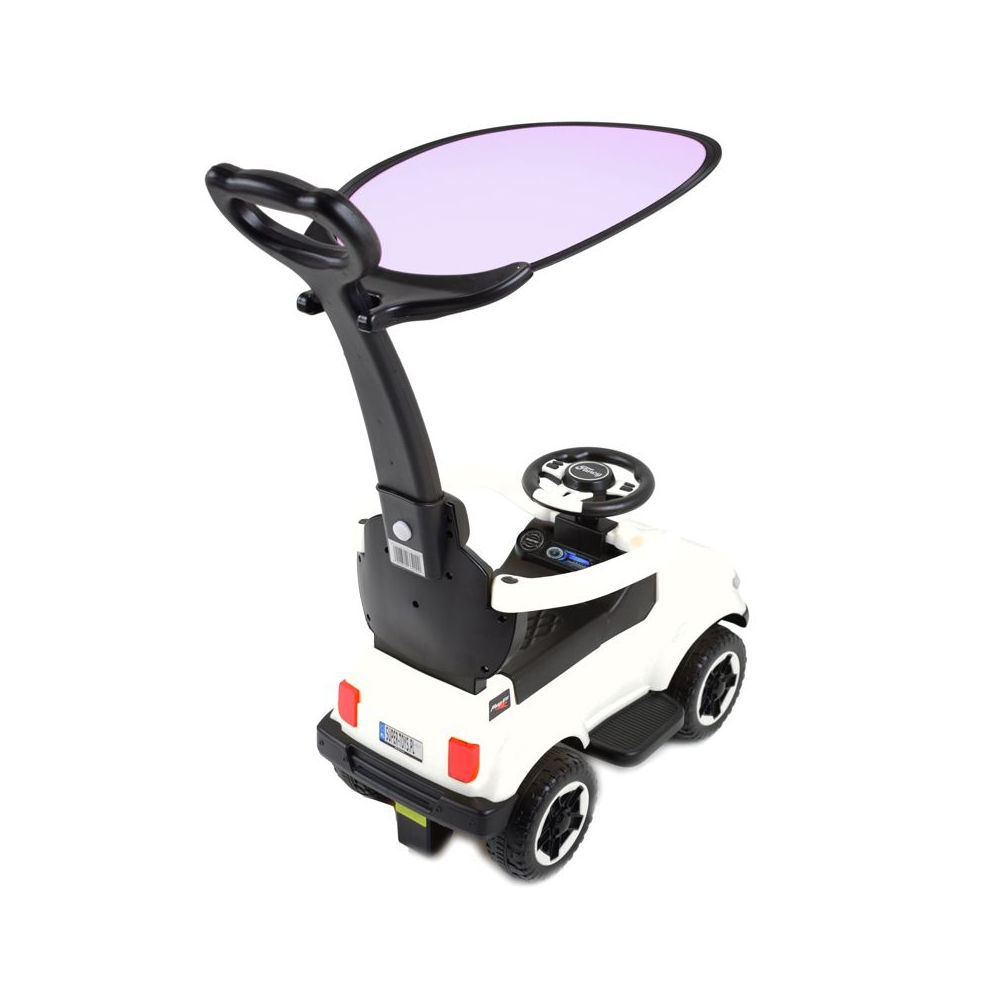JEŹDZIK, ODPYCHACZ COLL BABY Z DŹWIĘKAMI I DASZKIEM/TC-902