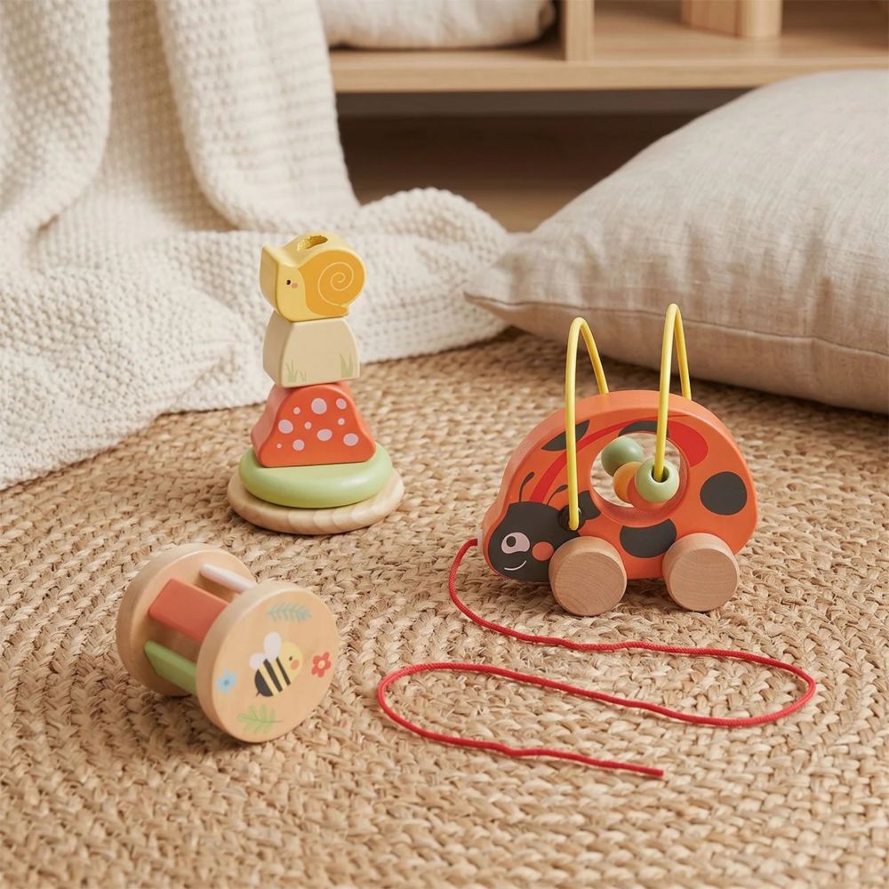 Medinis edukacinis rinkinys TOOKY TOY Ladybug 3-in-1