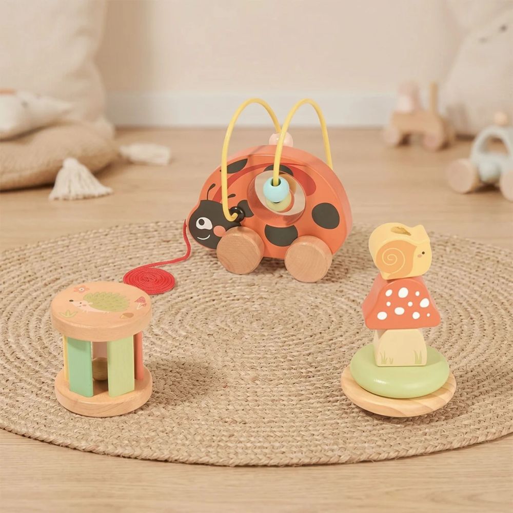 TOOKY TOY Ladybug 3-in-1 Developmental Play Set 