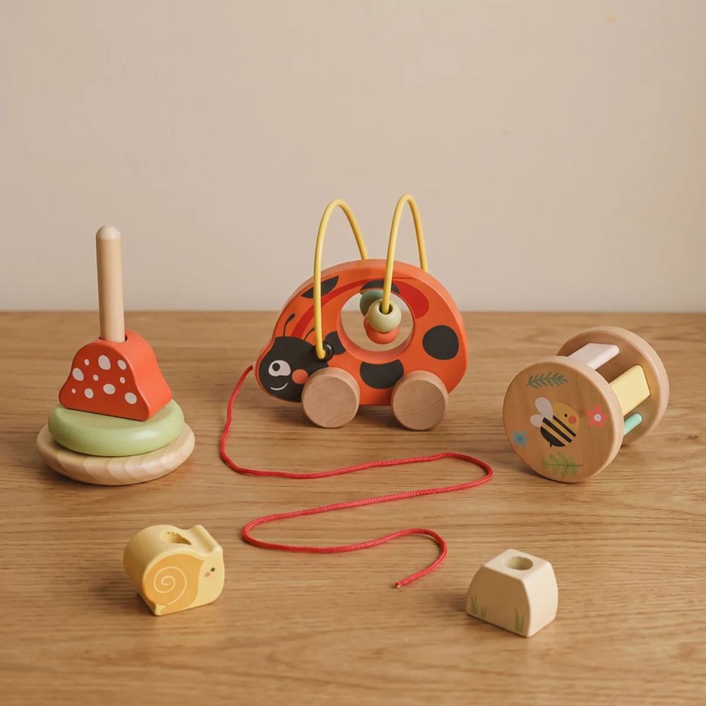 Medinis edukacinis rinkinys TOOKY TOY Ladybug 3-in-1