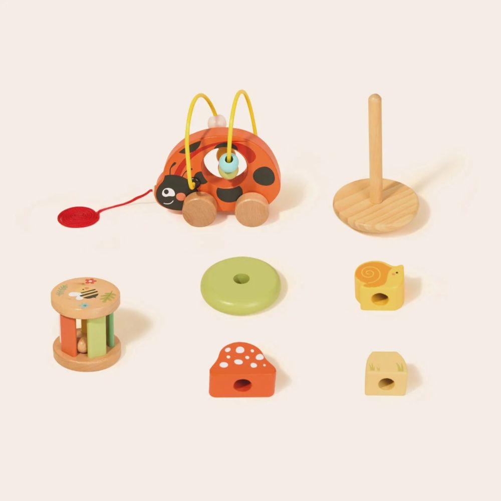 Medinis edukacinis rinkinys TOOKY TOY Ladybug 3-in-1