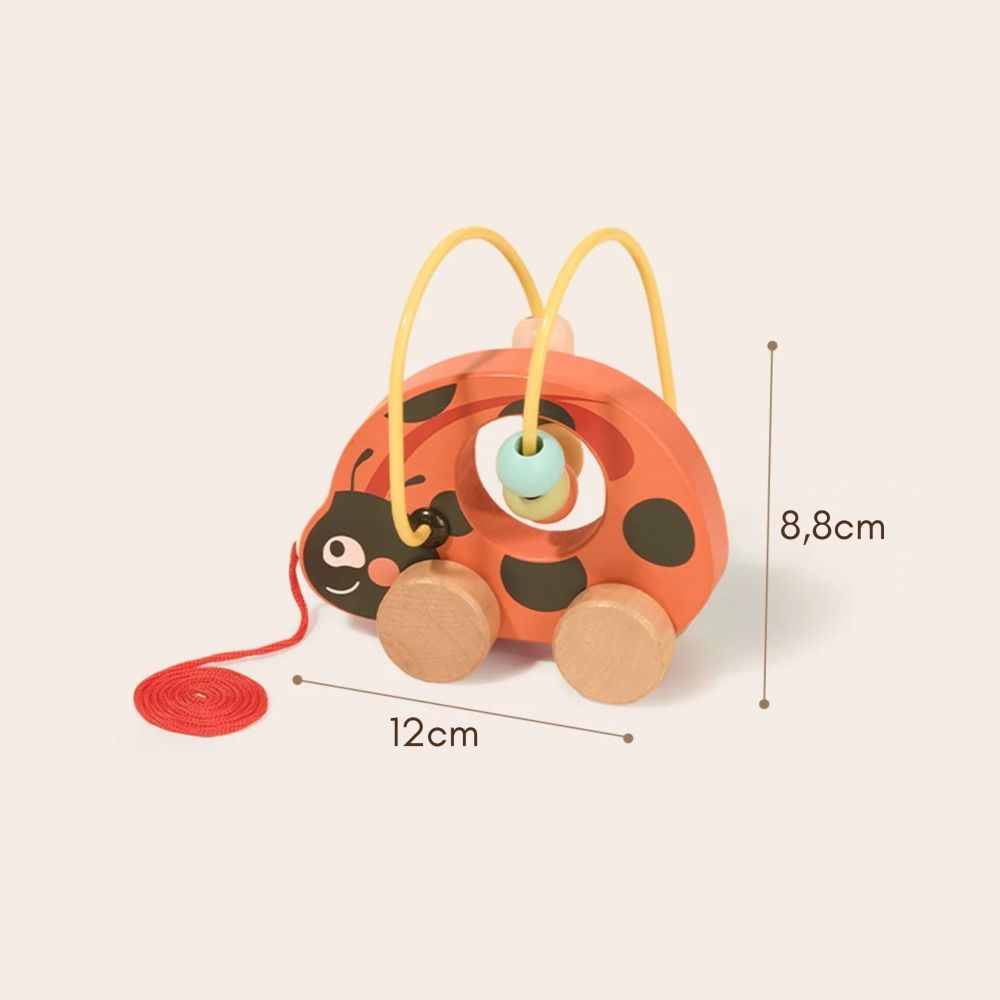 Medinis edukacinis rinkinys TOOKY TOY Ladybug 3-in-1
