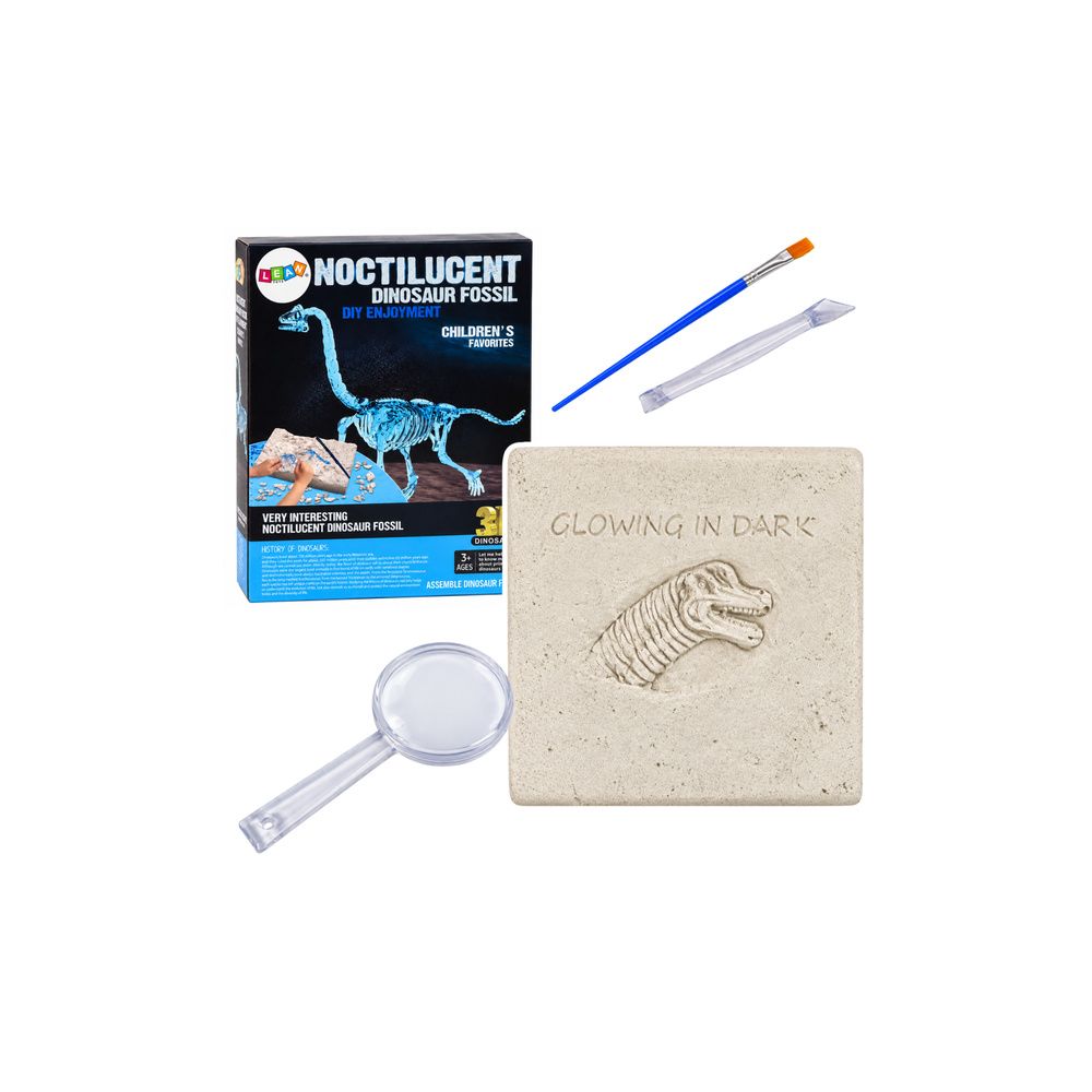 Zestaw Archeologiczny Wykopaliska Dinozaur Szkielet 3D Brachiosaurus