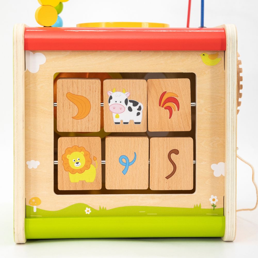 Viga PolarB Wooden Educational Cube 5 in 1 Motor Loop Labyrinth Sorter 