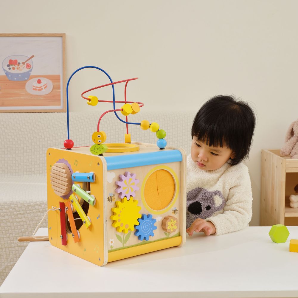Viga PolarB Wooden Educational Cube 5 in 1 Motor Loop Labyrinth Sorter 