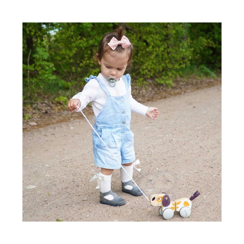 VIGA PolarB Wooden Pulling Dog 