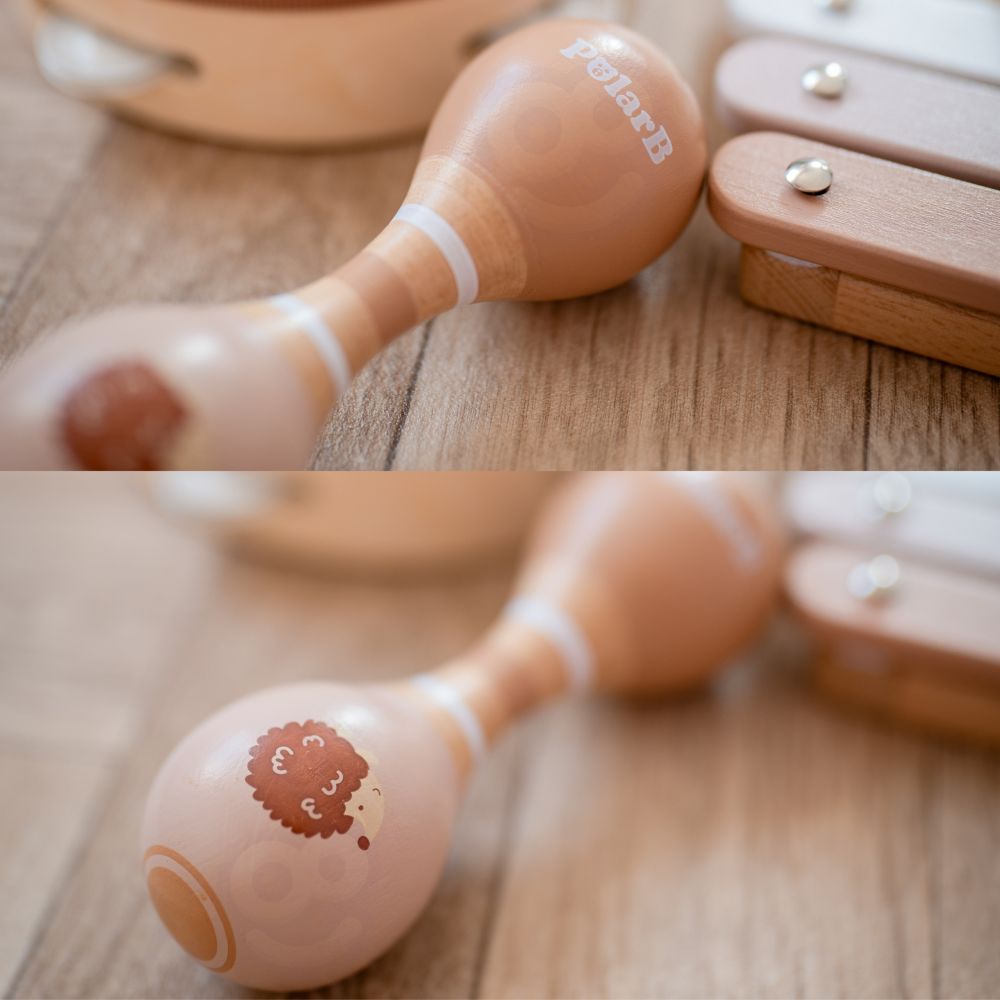 VIGA PolarB Musical Instrument Set with Hedgehog 