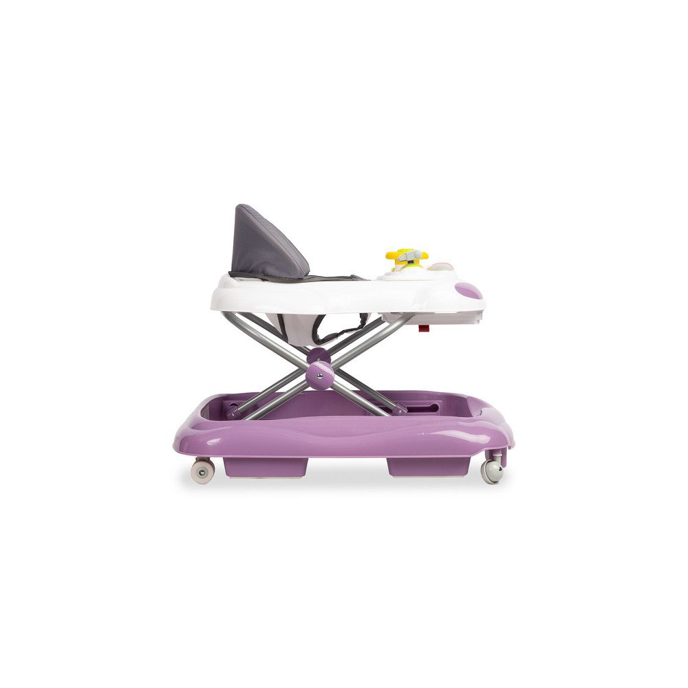 CHODZIK CARIO PURPLE