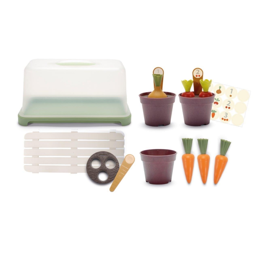 GREEN GARDEN Mini szklarnia z roślinami