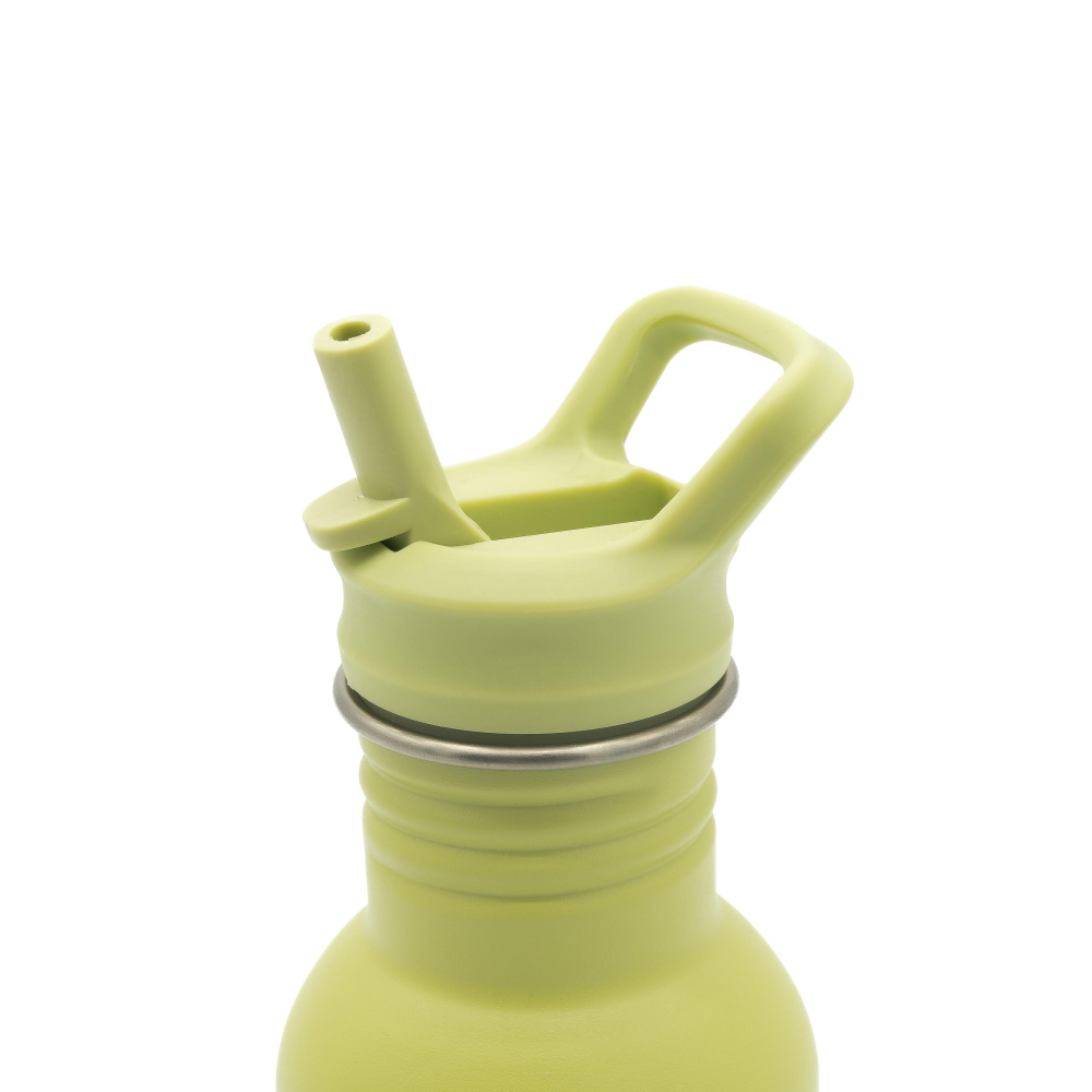 Nerūdijančio plieno gertuvė SASSI Dinozauras, 500 ml-Maitinimui, Indai, įrankiai, gertuvės, Puodeliai, gertuvės-e-vaikas