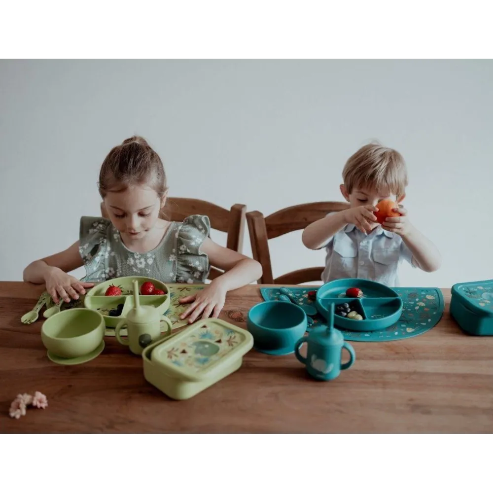 Lunchbox pojemnik silikonowy Dinozaur SASSI