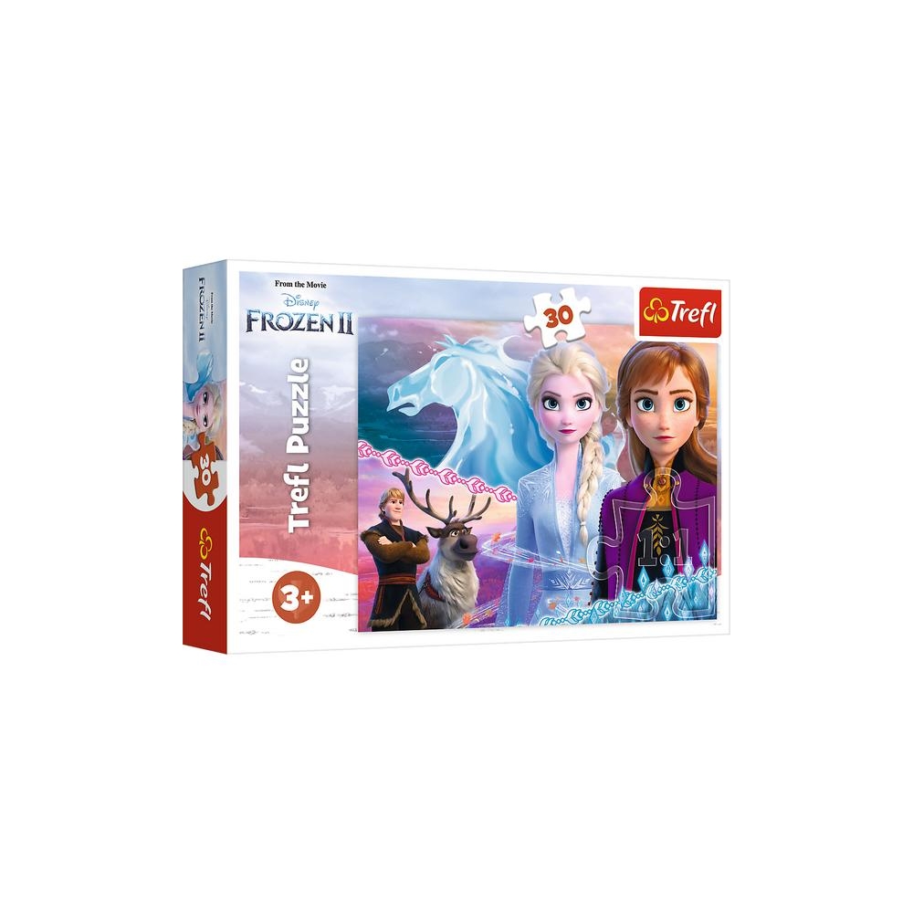Dėlionė - 30 - Seserų drąsa - Disney Frozen 2 18253-Žaislai, Dėlionės, Dėlionės iki 500 detalių-e-vaikas