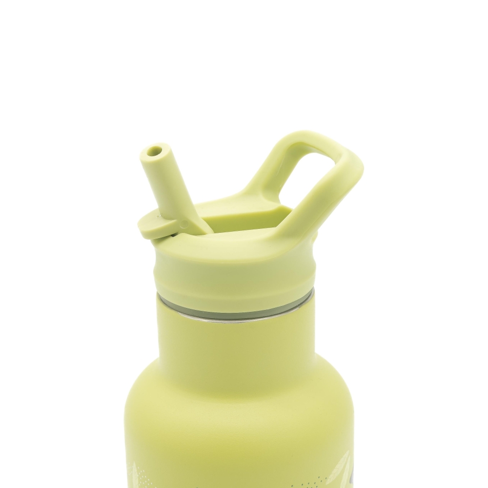 Nerūdijančio plieno vandens gertuvė, 350 ml, SASSI Dinozauras-Maitinimui, Indai, įrankiai, gertuvės, Puodeliai, gertuvės-e-vaika