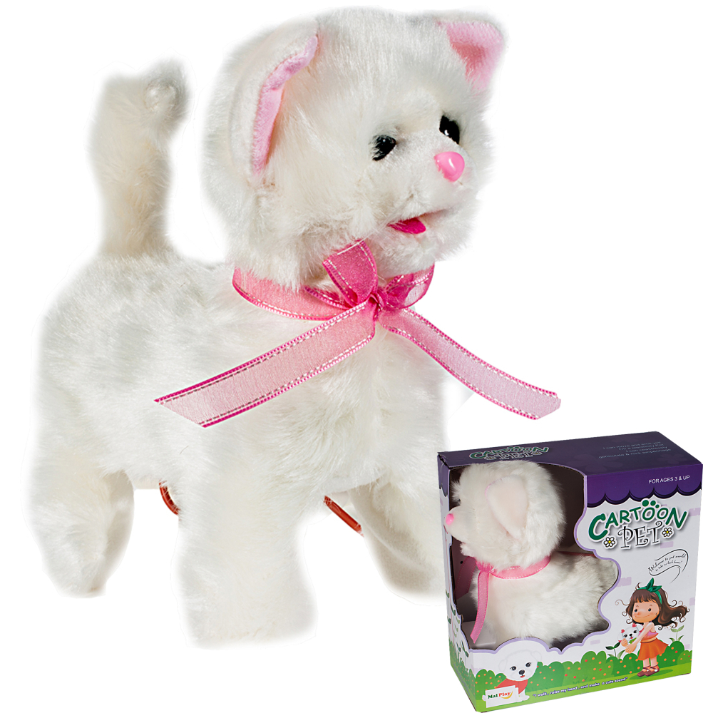 Kotek sterowany na smyczy