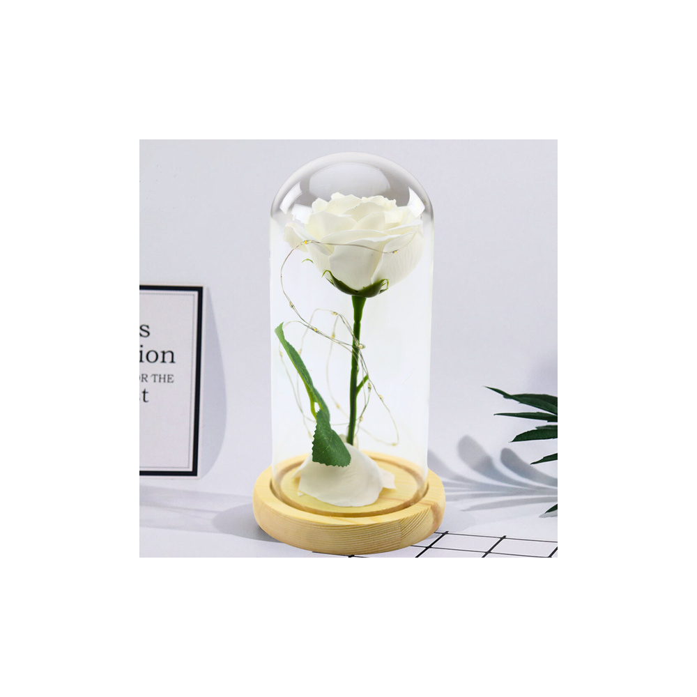 Amžinoji rožė stikliniame kupole LED apšvietimas 21x11cm balta-Dovanoms, Šventės, Apšvietimas, Turizmas, namų apyvokos reikmenys